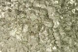Natural Pyrite Concretion - China #142972-1